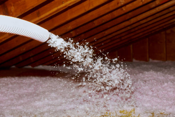 Best Insulation Repair Services  in Eagleview, PA
