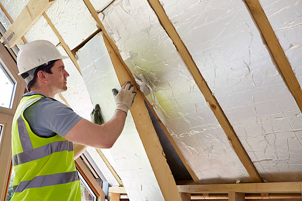 Best Insulation Inspection Services  in Eagleview, PA